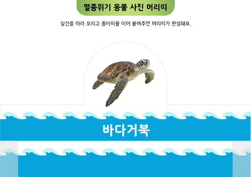 멸종위기 동물 사진 머리띠